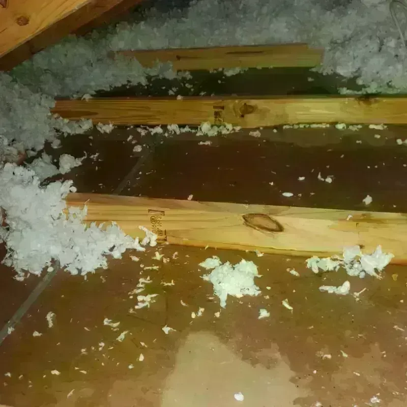 Attic Water Damage in Pageland, SC