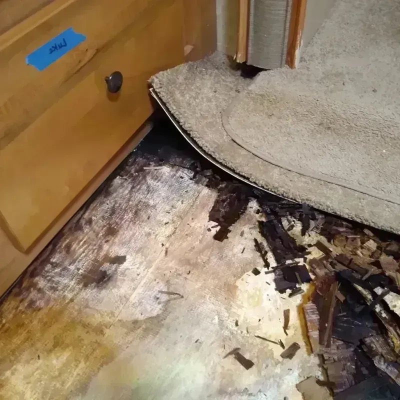 Wood Floor Water Damage in Pageland, SC